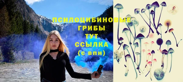 apvp Балабаново