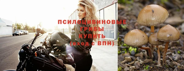 мескалин Арсеньев