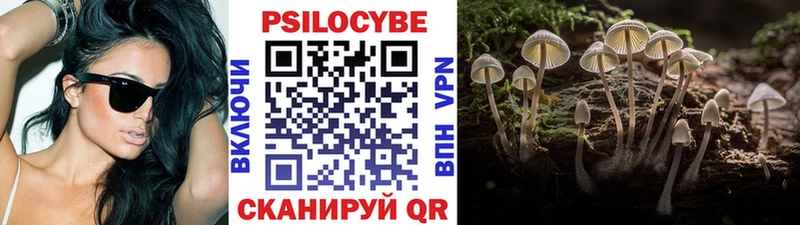 сколько стоит  omg как зайти  Псилоцибиновые грибы Cubensis  Олёкминск 